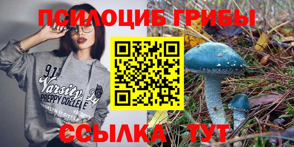 Галлюциногенные грибы ЛСД Елец