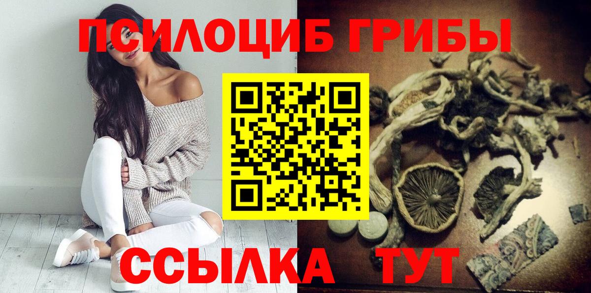 Галлюциногенные грибы Psilocybine cubensis  купить закладку  Елец  Вход с VPN 
